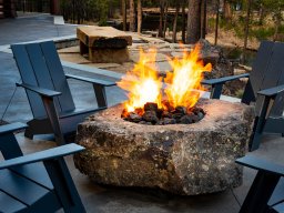 Basalt Lichen Specimen Fire Pits
